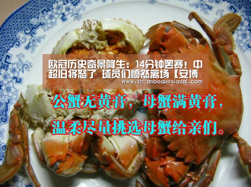 安博app下载