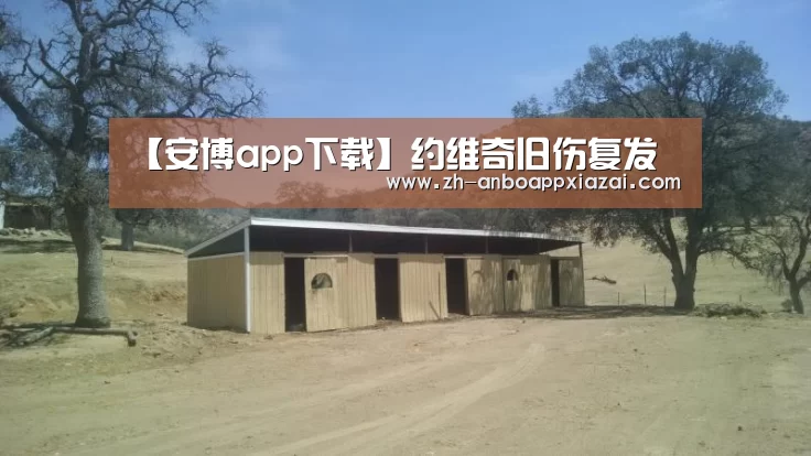 【安博app下载】约维奇旧伤复发(图3) 安博app下载