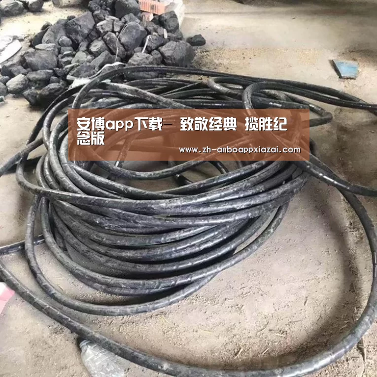 安博app下载-
致敬经典 揽胜纪念版